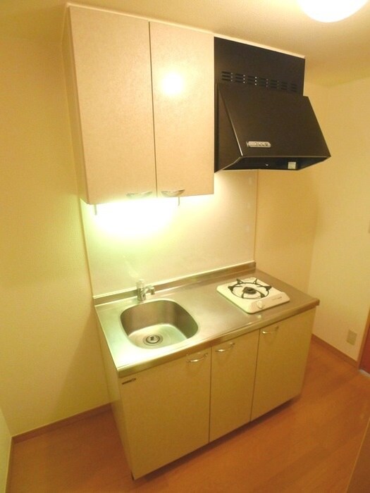 物件内観写真10　(キッチン)