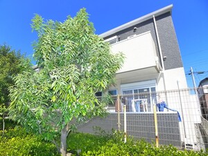 クオ－レ外観写真