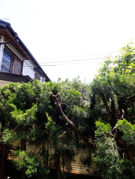 物件内観写真16　(室内からの展望)