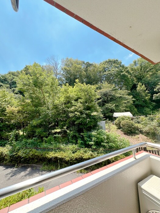 物件内観写真17　(室内からの展望)