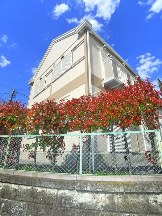 物件外観写真3　(外観写真)