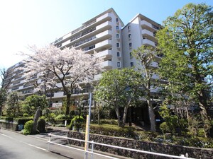 コスモ相模原スカイエッセ(206)外観写真