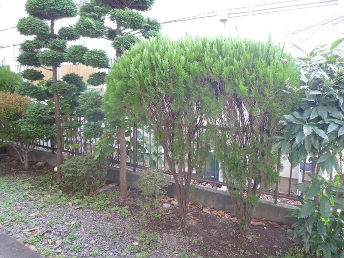 物件外観写真6　(周辺環境)