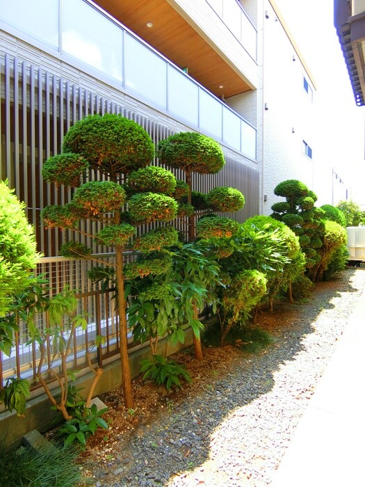 物件内観写真19　(室内からの展望)