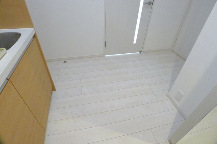 物件内観写真19　(廊下)