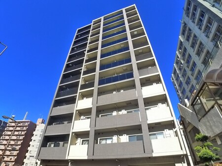 DIPS金町レジデンス(412)外観写真