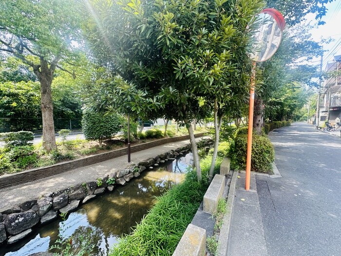 物件外観写真4　(周辺環境)