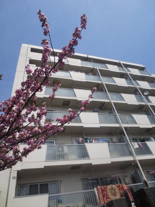 物件外観写真6　(外観写真)