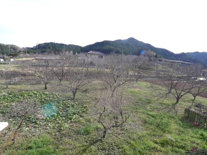 物件内観写真16　(室内からの展望)