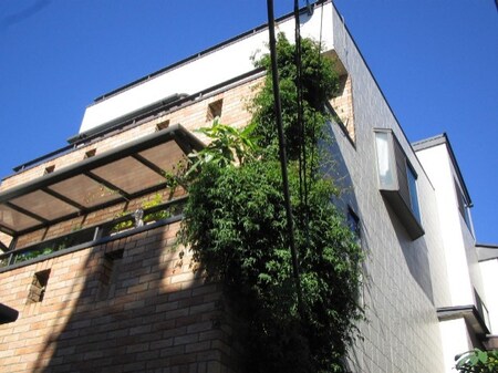 メゾン・ド・ヴェルデ外観写真