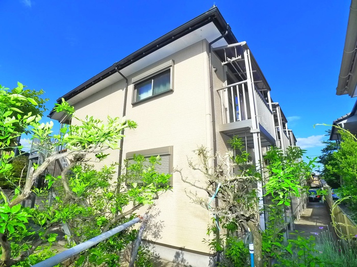 Ｗｈｉｔｅ Ｌｉｌｙ ～白百合～