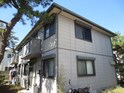 松の木Ａ