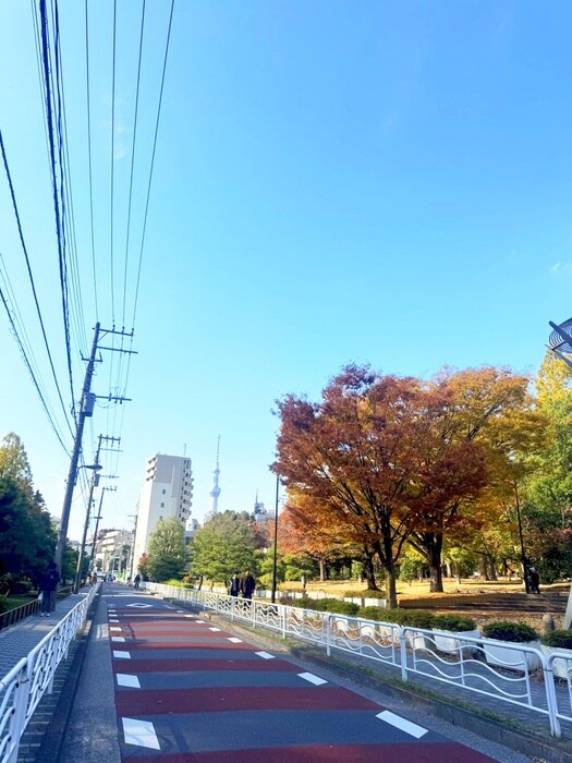 物件外観写真6　(周辺環境)