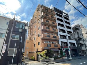 平間ロイヤルマンション(202)外観写真