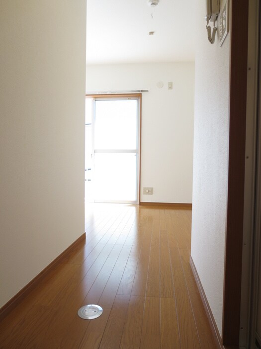 物件内観写真14　(廊下)
