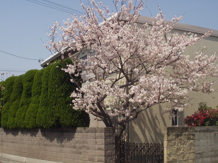 物件外観写真6　(外観写真)