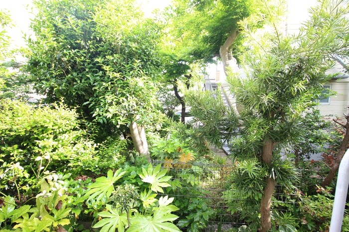 物件内観写真15　(室内からの展望)