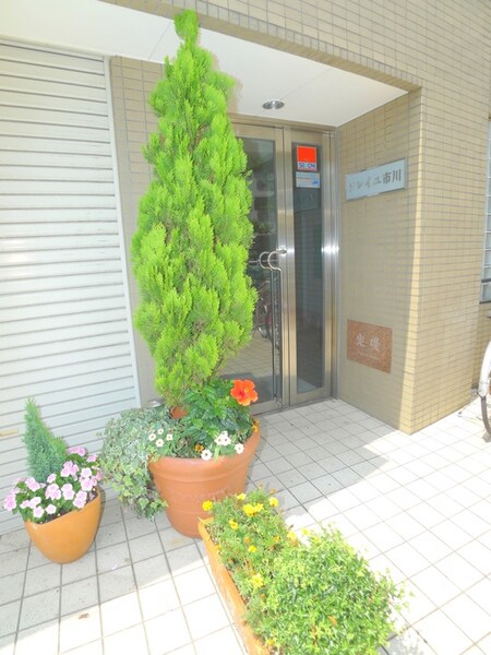 ソレイユ市川外観写真