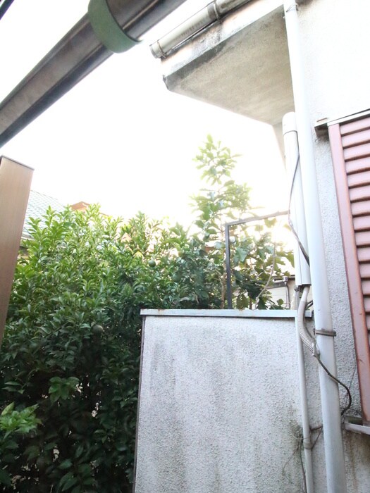 物件内観写真19　(室内からの展望)