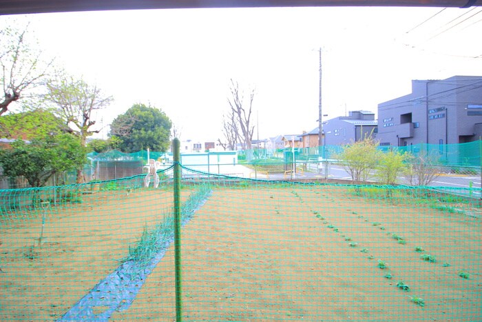 物件内観写真19　(室内からの展望)