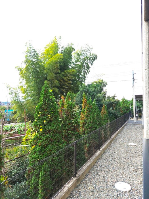 物件内観写真14　(室内からの展望)