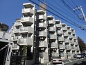 ﾗｲｵﾝｽﾞﾏﾝｼｮﾝ中央林間第10(206)