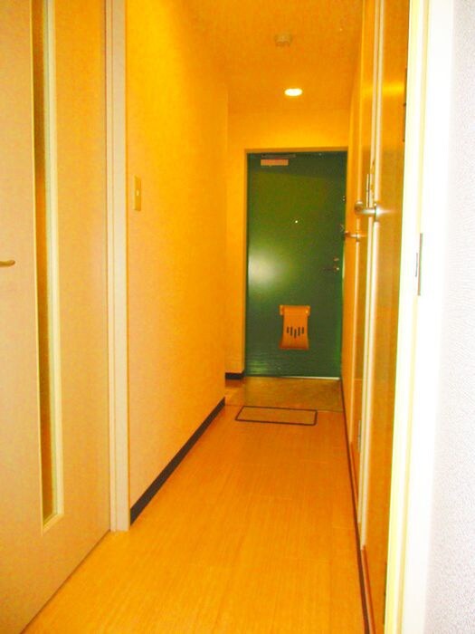 物件内観写真17　(廊下)