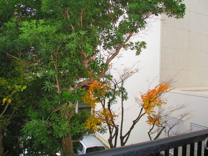 物件内観写真22　(周辺環境)