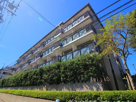 エルハイツ成増（Ｗ３０８）外観写真