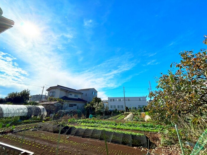 物件内観写真20　(室内からの展望)