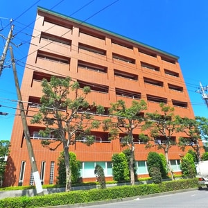 ザ・グランド・アルビオン外観写真