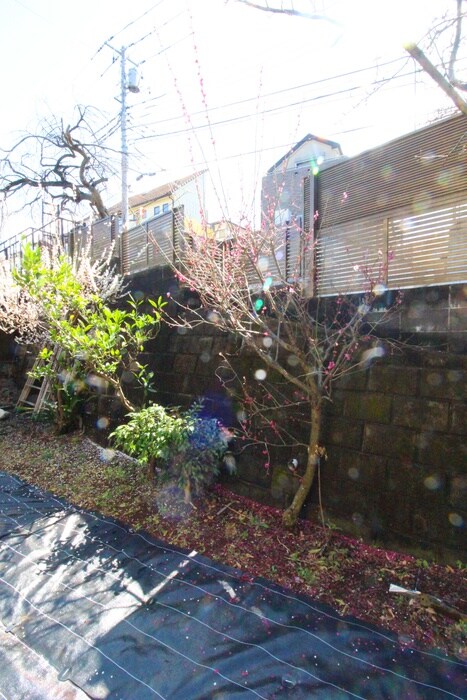 物件内観写真14　(室内からの展望)