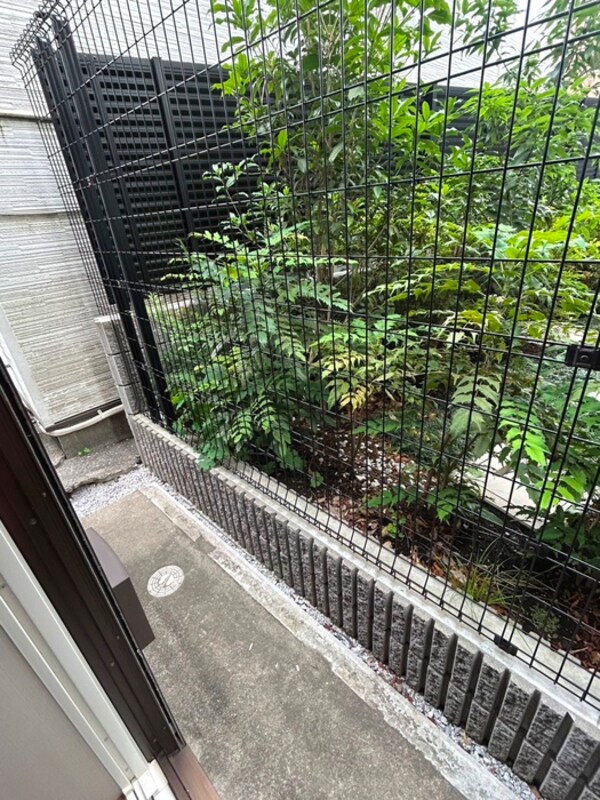 室内からの展望