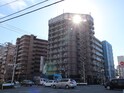 ｸﾞﾘﾌｨﾝ横浜･ｾﾝﾄﾗﾙｽﾃ-ｼﾞ(802)