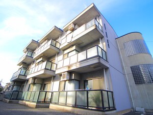 カサデルピノ外観写真