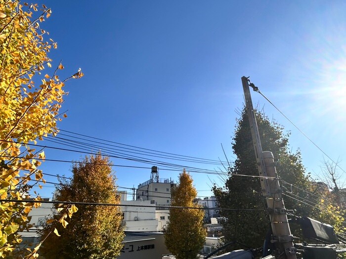 物件内観写真8　(室内からの展望)