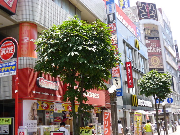 内観写真