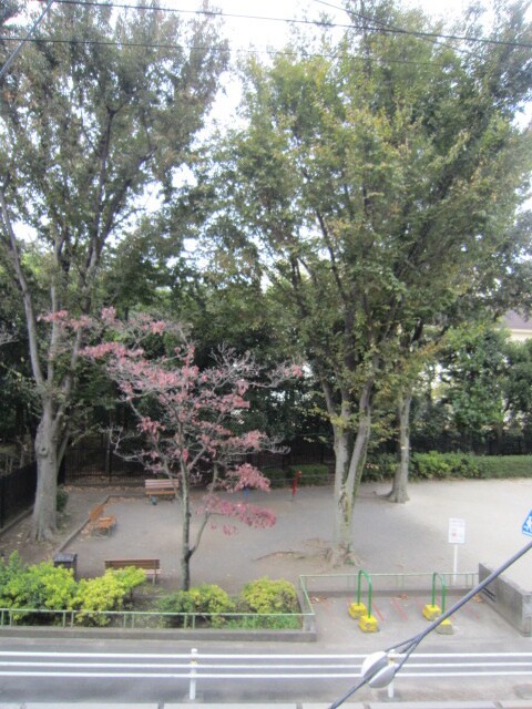 物件内観写真16　(室内からの展望)