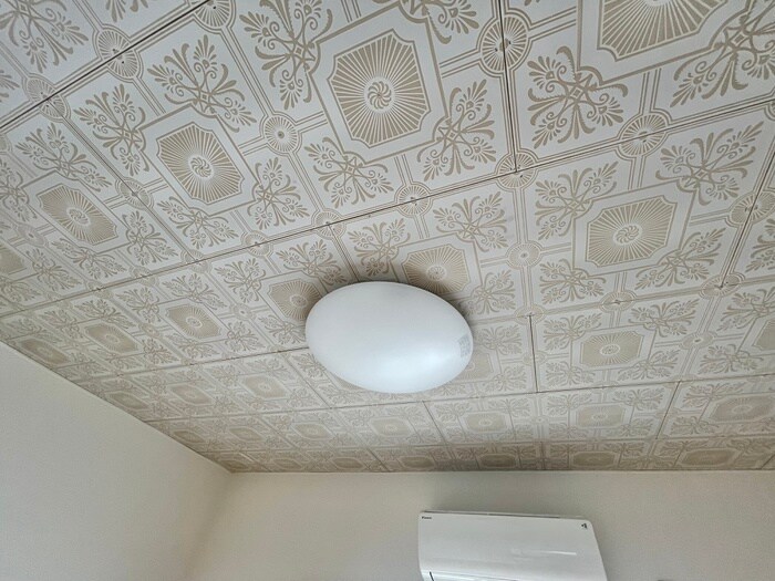 第二ペガサスの内観写真