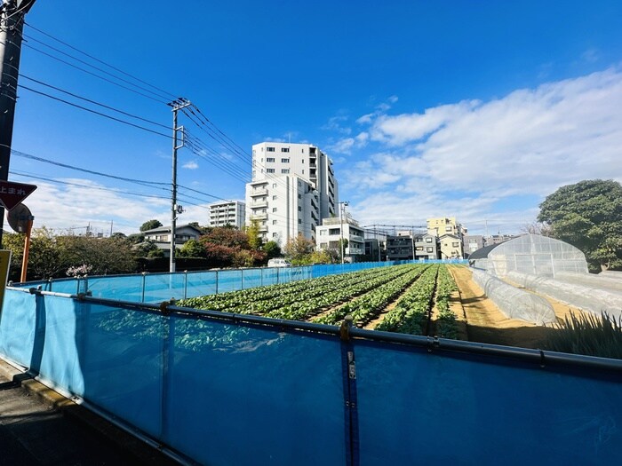 物件外観写真6　(周辺環境)