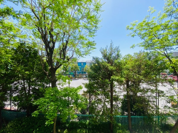 室内からの展望