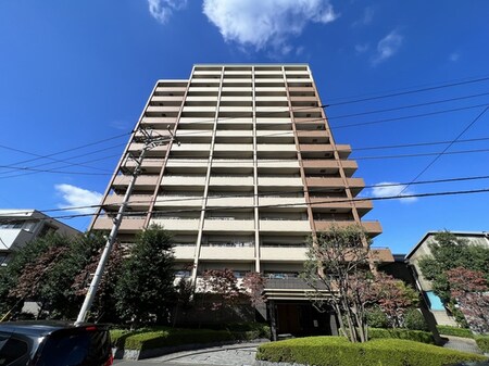 ｺｽﾓ川口ﾂｲﾝﾌｫﾙﾑｼﾃｨﾋﾞｭｰ(803)外観写真