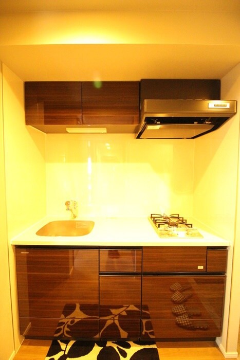 物件内観写真21　(キッチン)