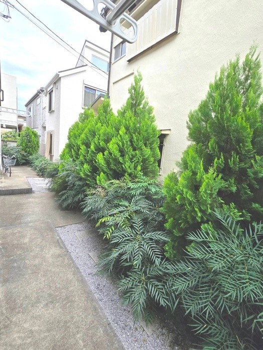 物件内観写真21　(ベランダ・バルコニー)