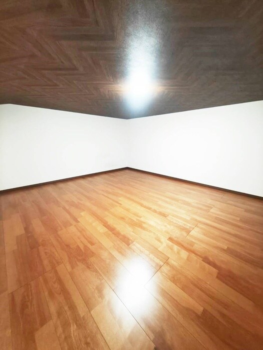 物件内観写真10　(ロフト)