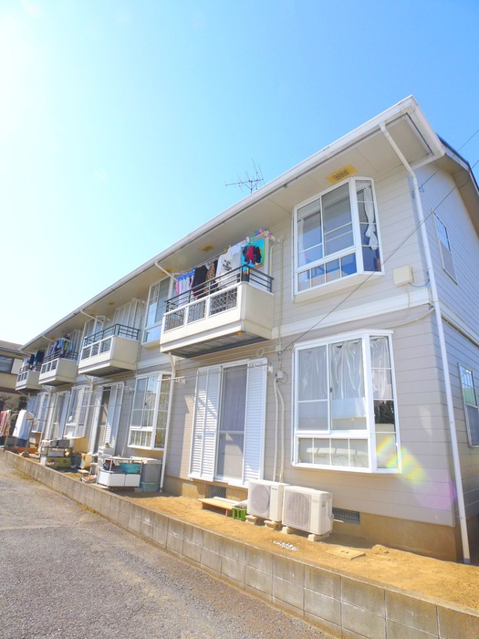 ライト・パンジ－