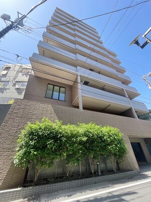 ｽﾃｰｼﾞﾌｧｰｽﾄ目白第二（503）外観写真