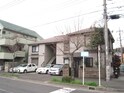 グリーンリーフ