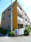 アンプルール彩華