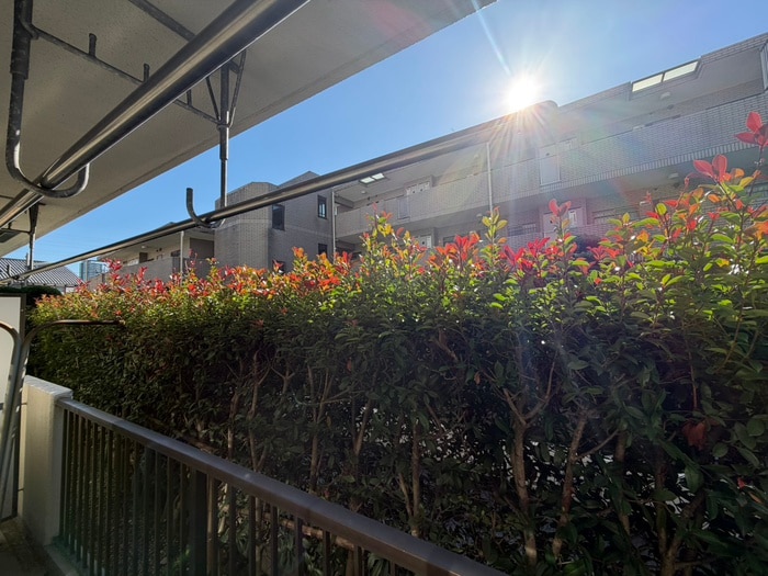 物件内観写真19　(室内からの展望)